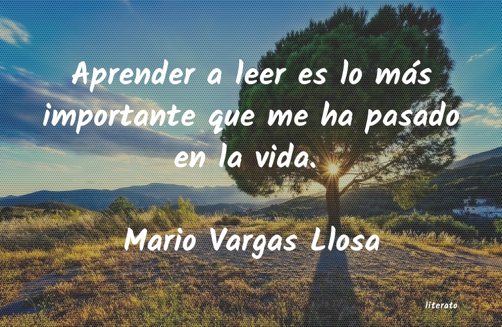 Frases de Mario Vargas Llosa