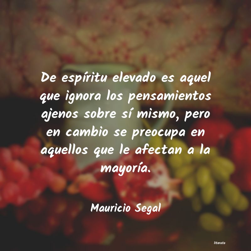 Frases de Mauricio Segal