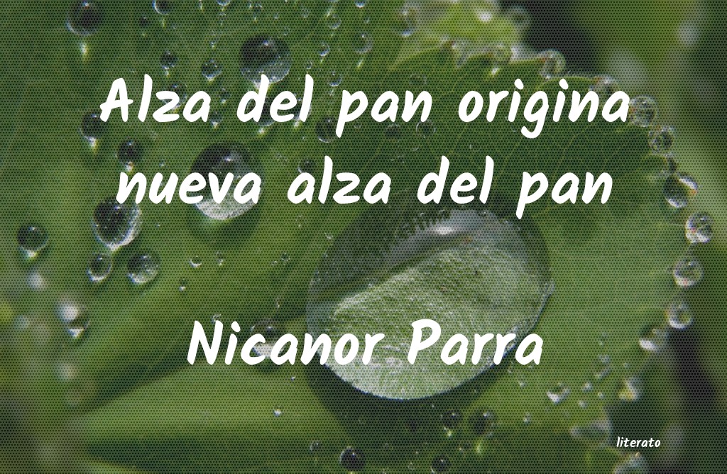 frases de Nicanor Parra