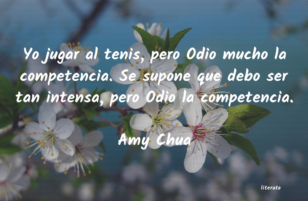 frases de Amy Chua