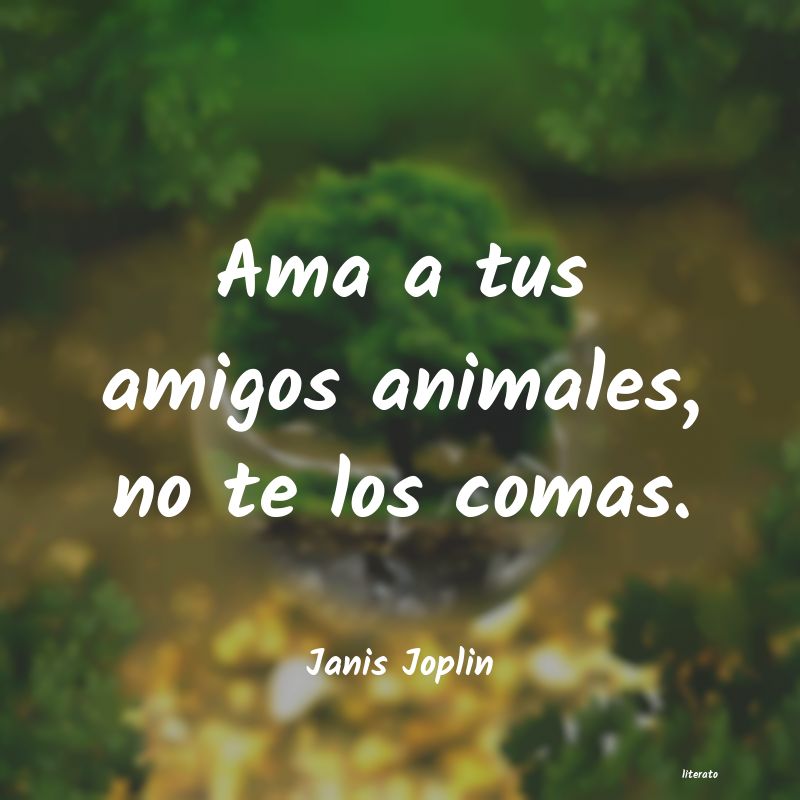 Frases de Janis Joplin