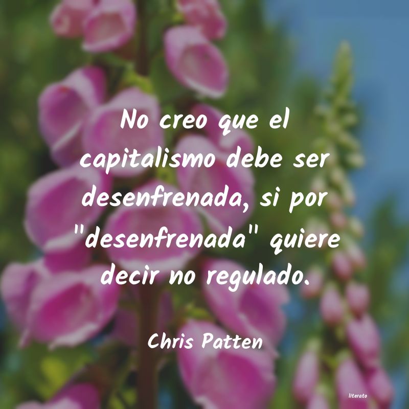 frases de Chris Patten