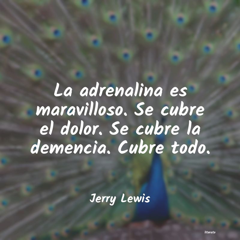 Frases de Jerry Lewis