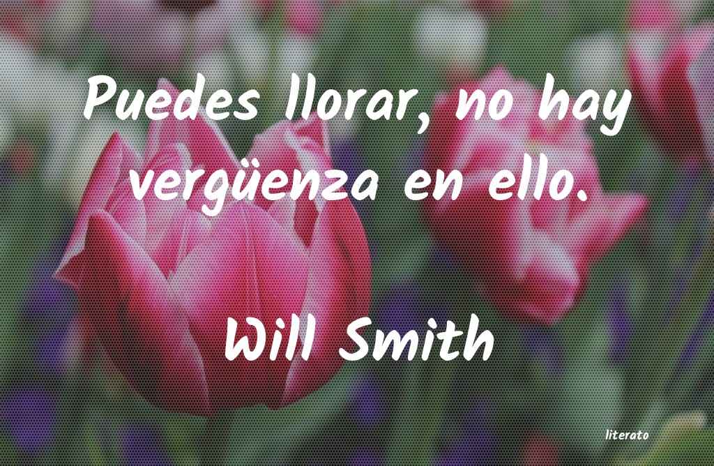 Frases de Will Smith