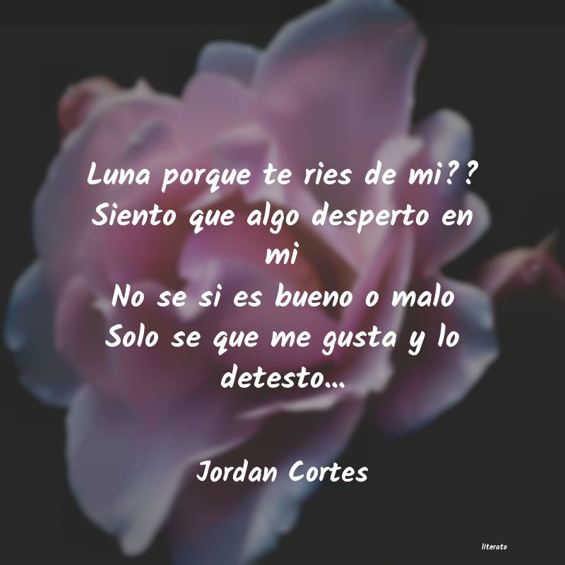 Frases de Jordan Cortes