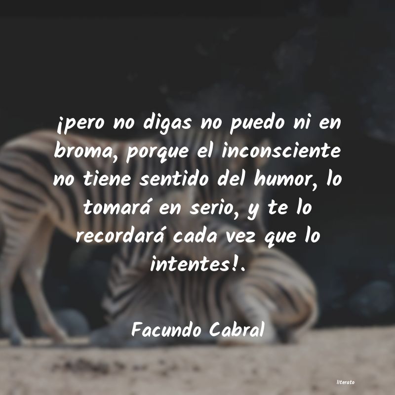 frases de humor