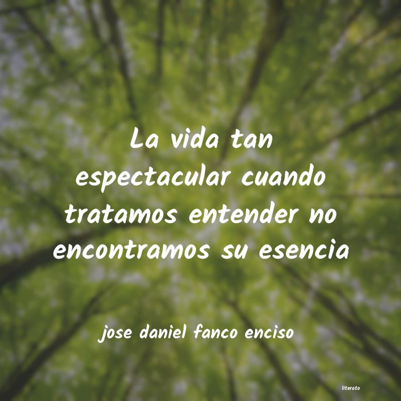 Frases de jose daniel fanco enciso