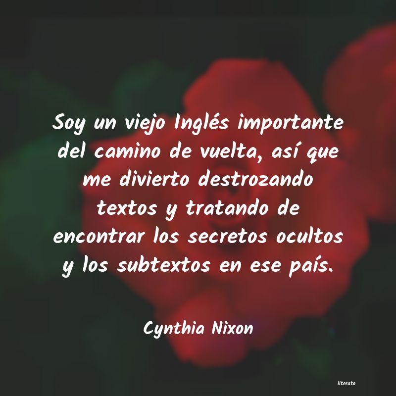 frases de Cynthia Nixon