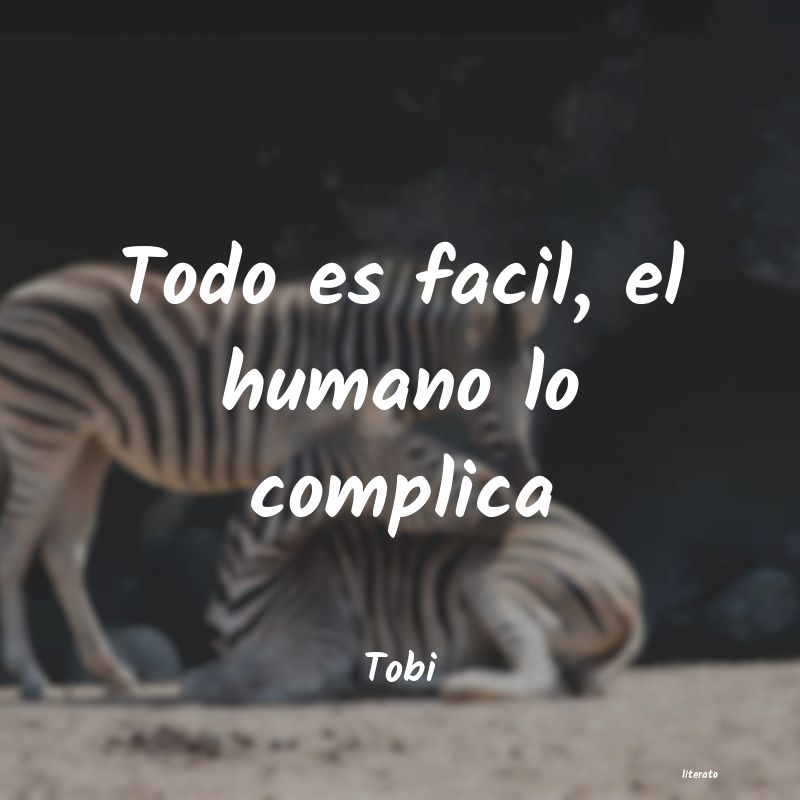 Frases de Tobi