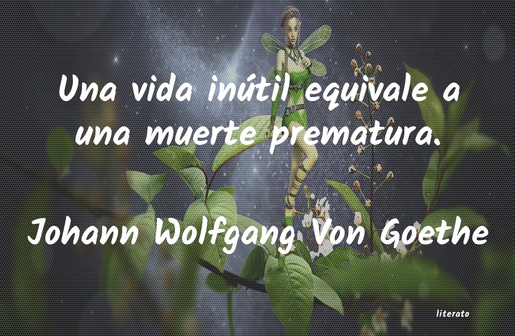 frases de Johann Wolfgang Von Goethe