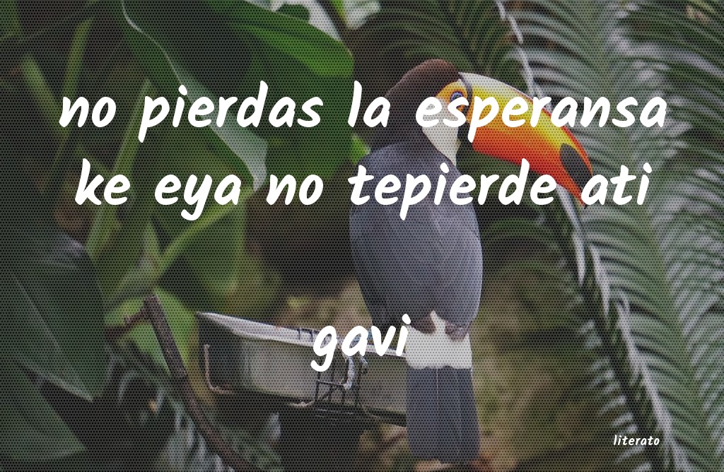 Frases de gavi