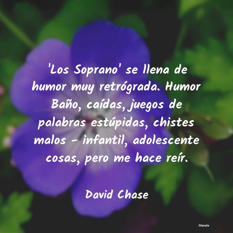 Frases de David Chase