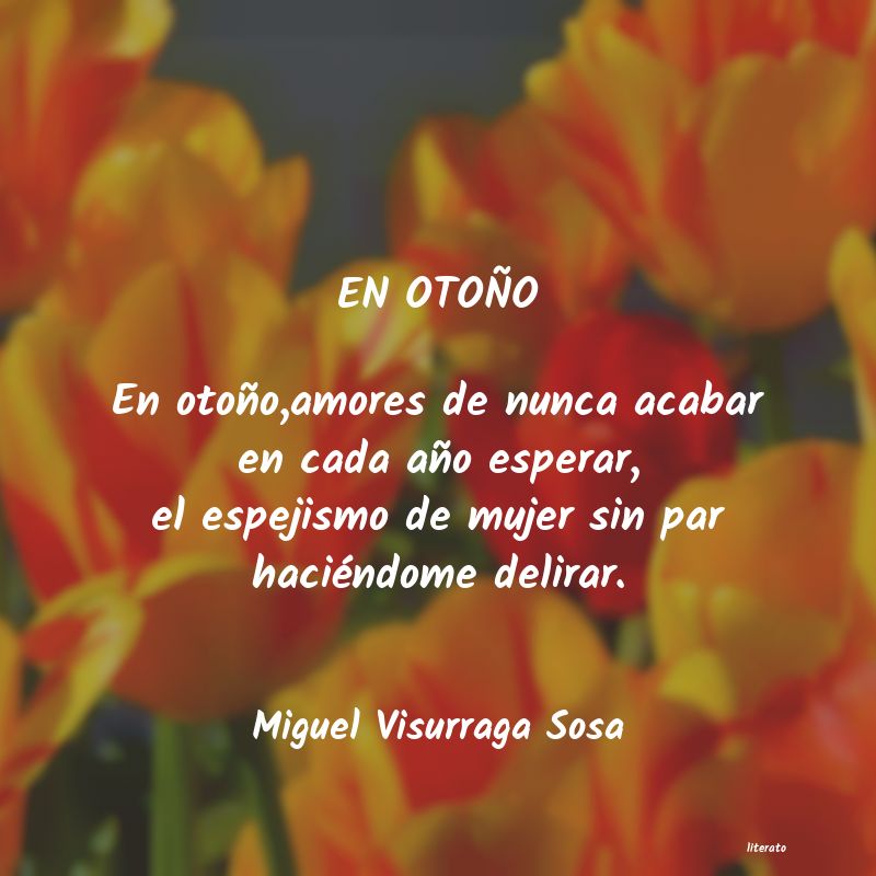 frases de Miguel Visurraga Sosa