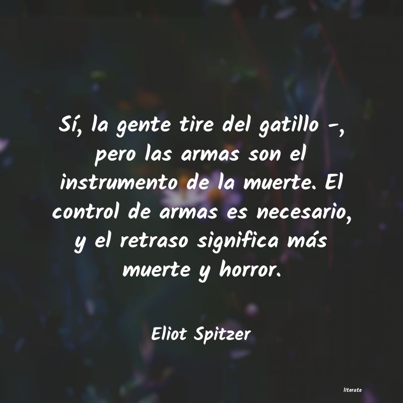 Frases de Eliot Spitzer