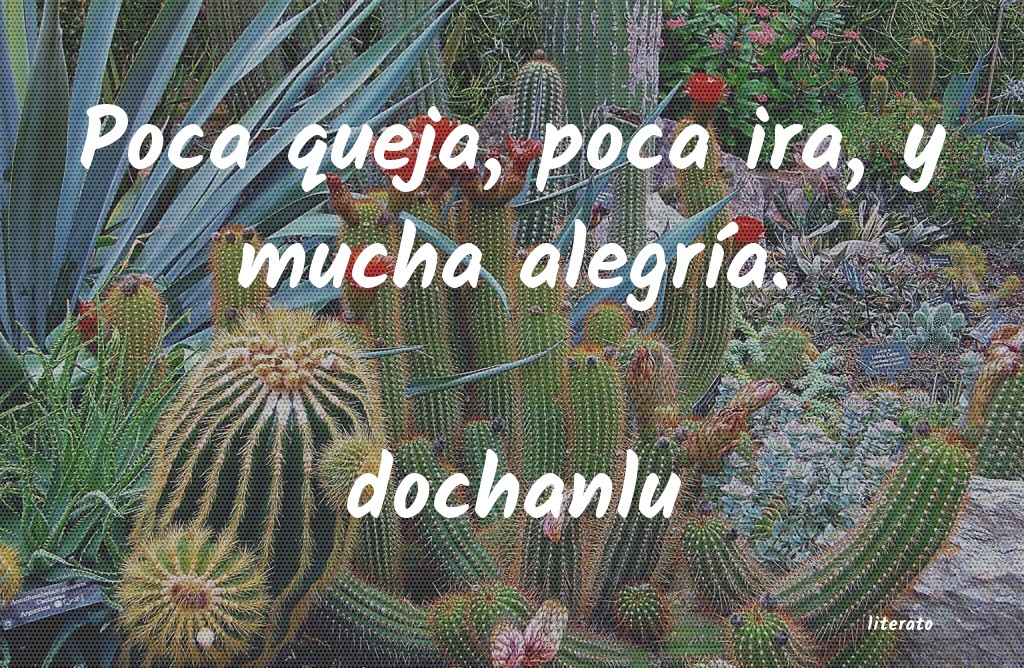 frases de dochanlu