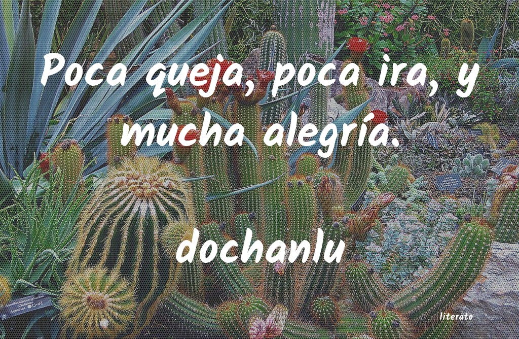 Frases de dochanlu