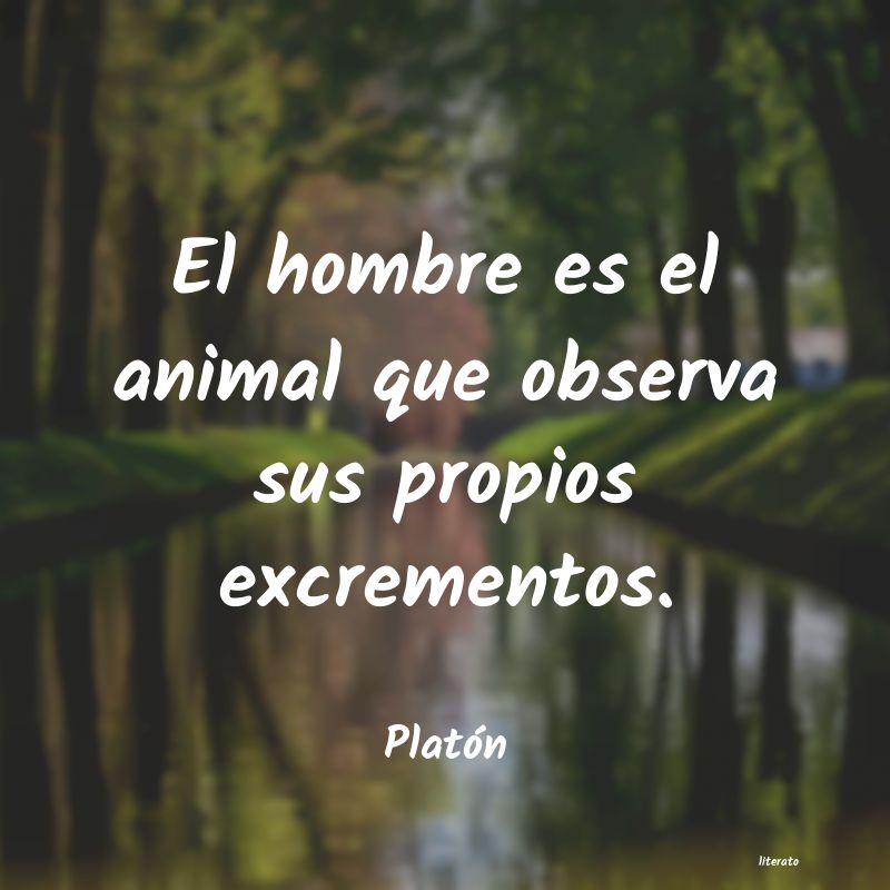 Frases de Platón