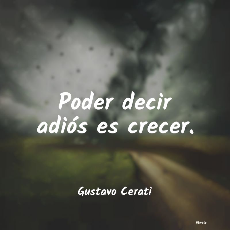 Frases de Gustavo Cerati