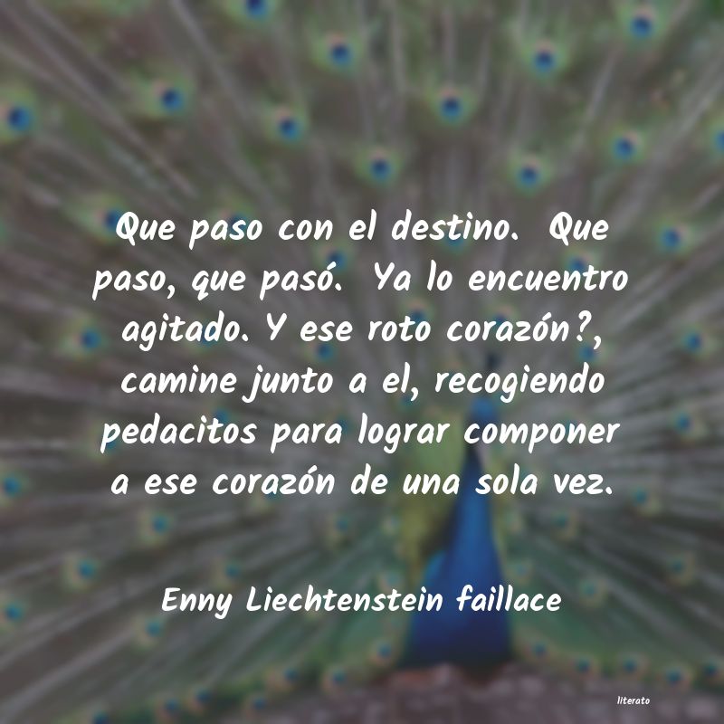 Frases de Enny Liechtenstein faillace