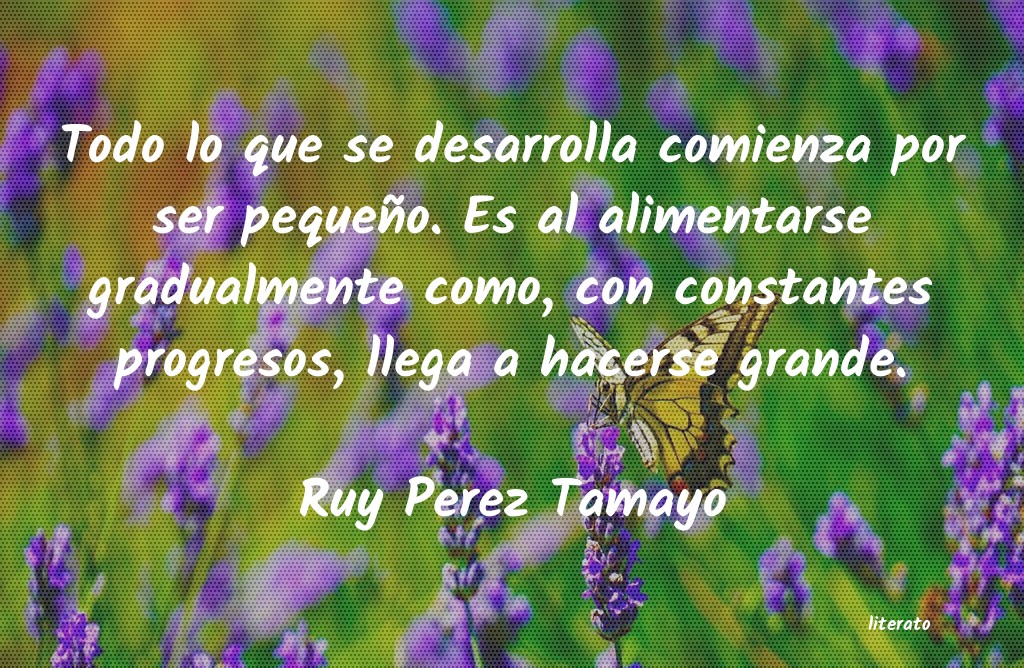 Frases de Ruy Perez Tamayo