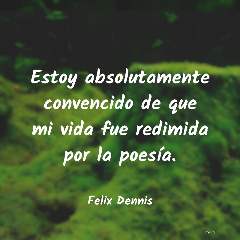 Frases de Felix Dennis