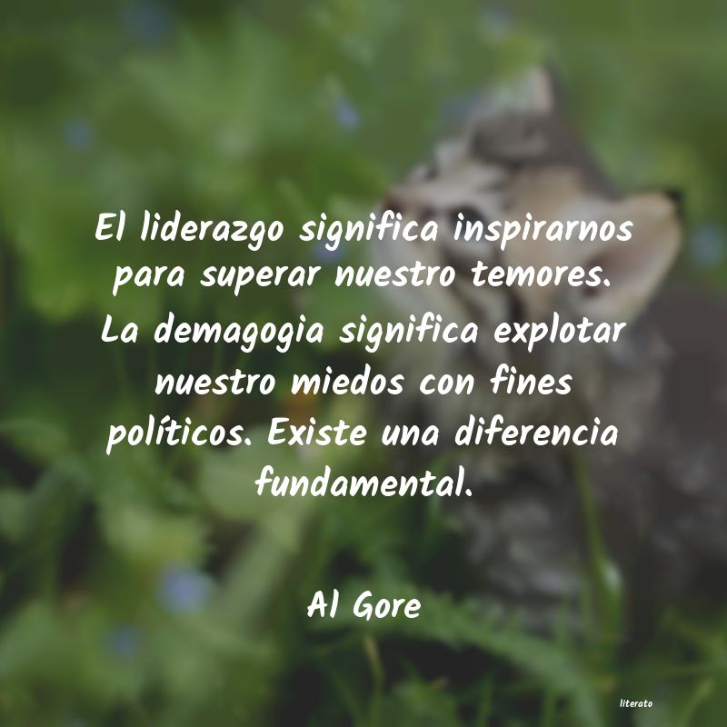 Frases de Al Gore