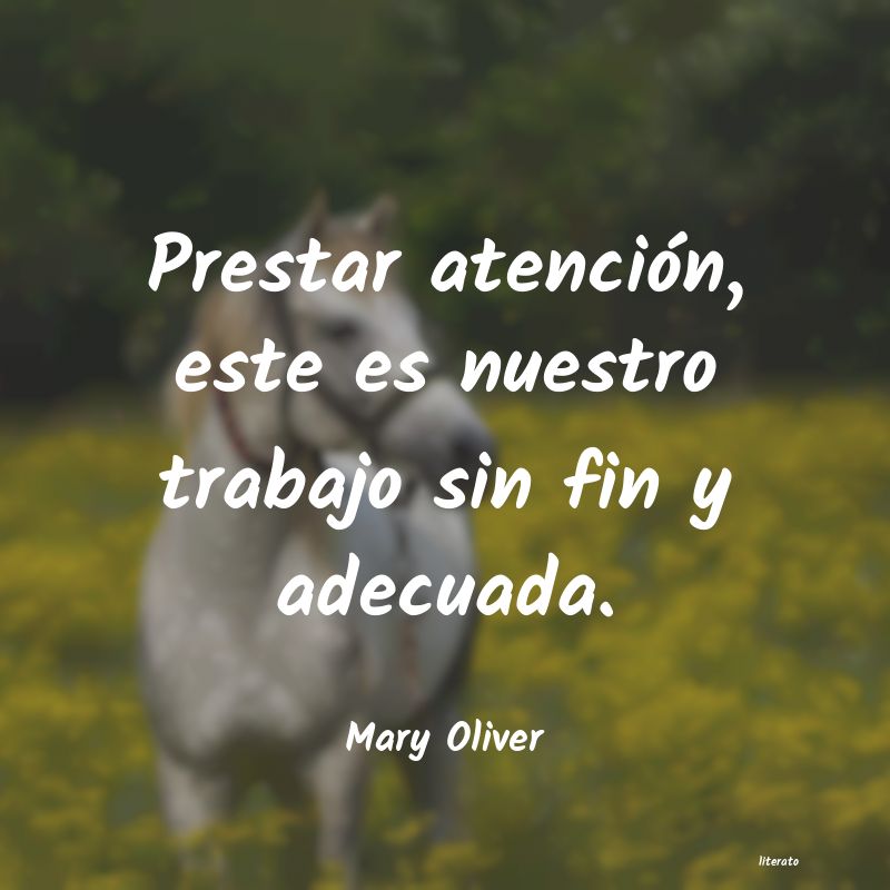 Frases de Mary Oliver