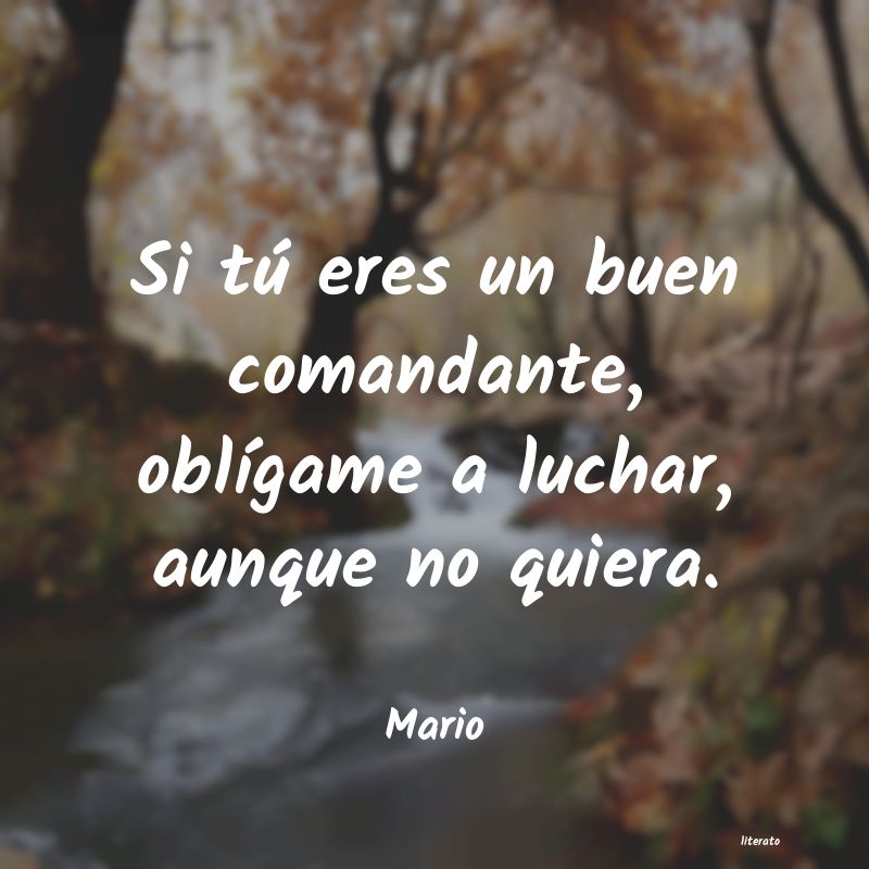 frases de Mario