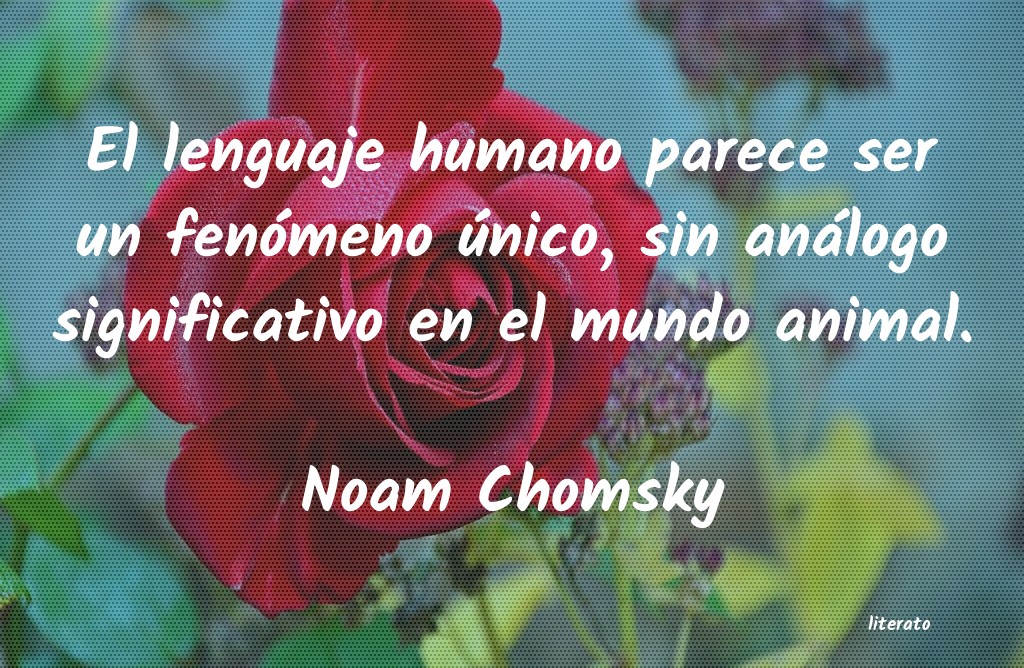 Frases de Noam Chomsky