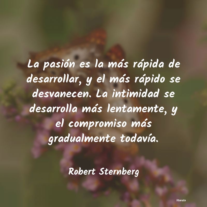 Frases de Robert Sternberg