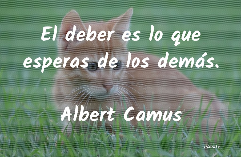 Frases de Albert Camus