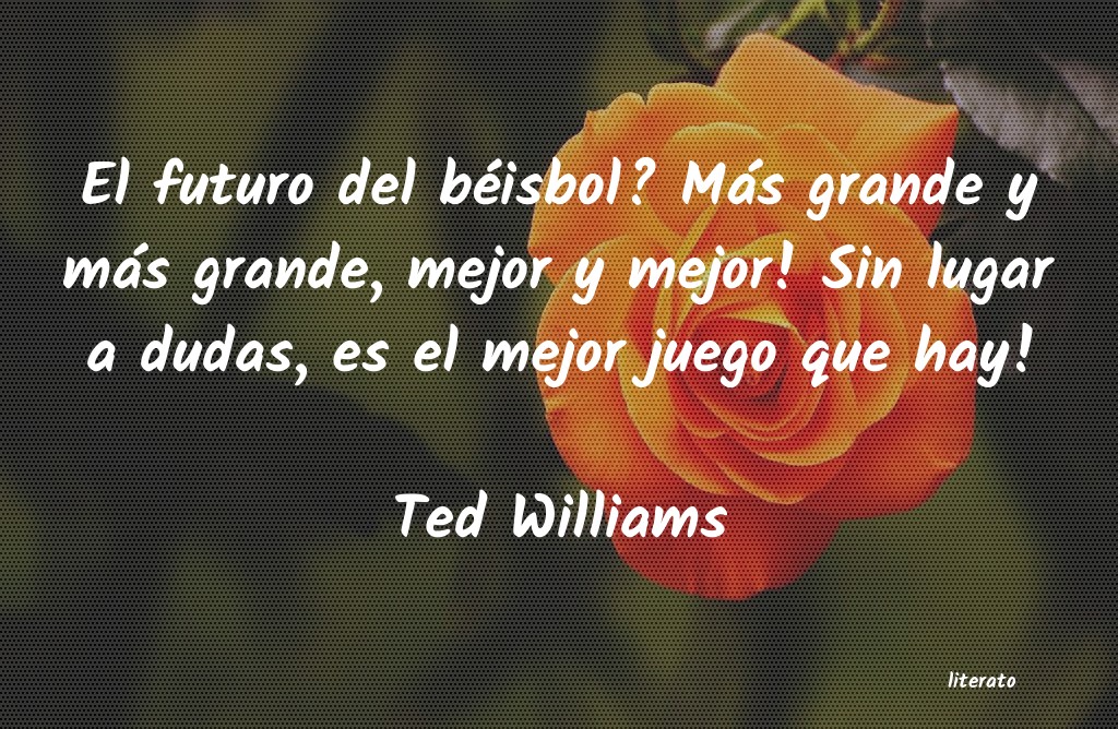 frases de Ted Williams