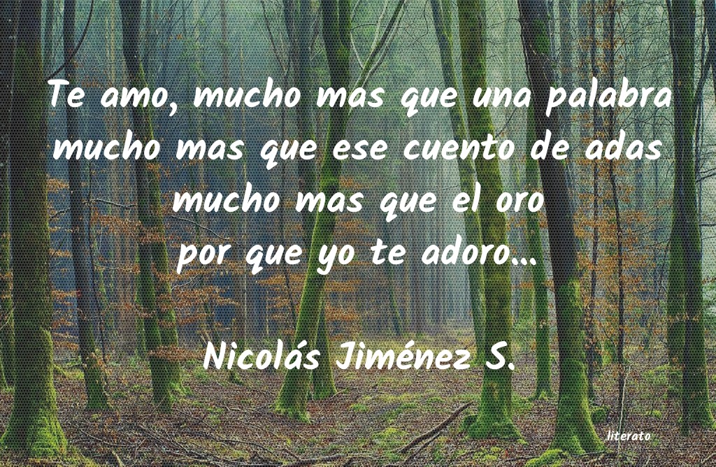 Frases de Nicolás Jiménez S.