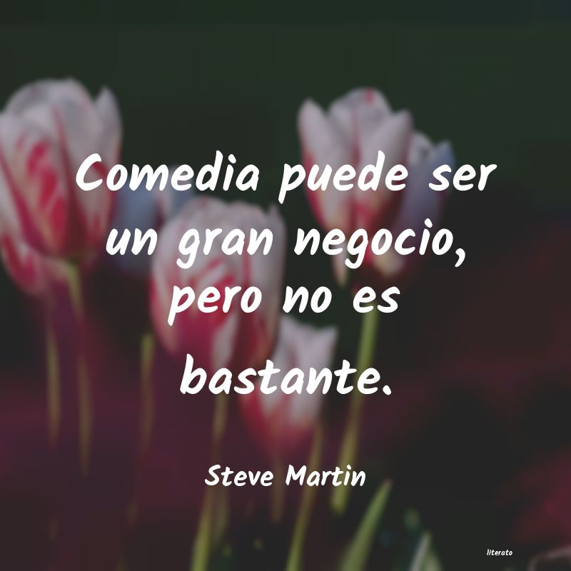 Frases de Steve Martin