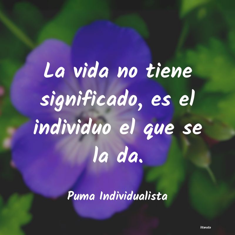 frases de Puma Individualista