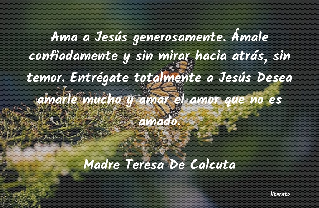 Frases de Madre Teresa De Calcuta