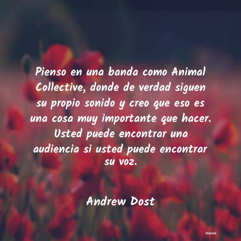 Frases de Andrew Dost