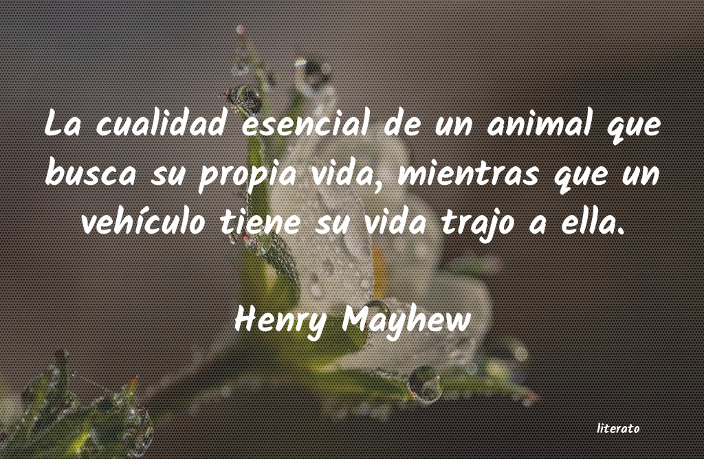 Frases de Henry Mayhew