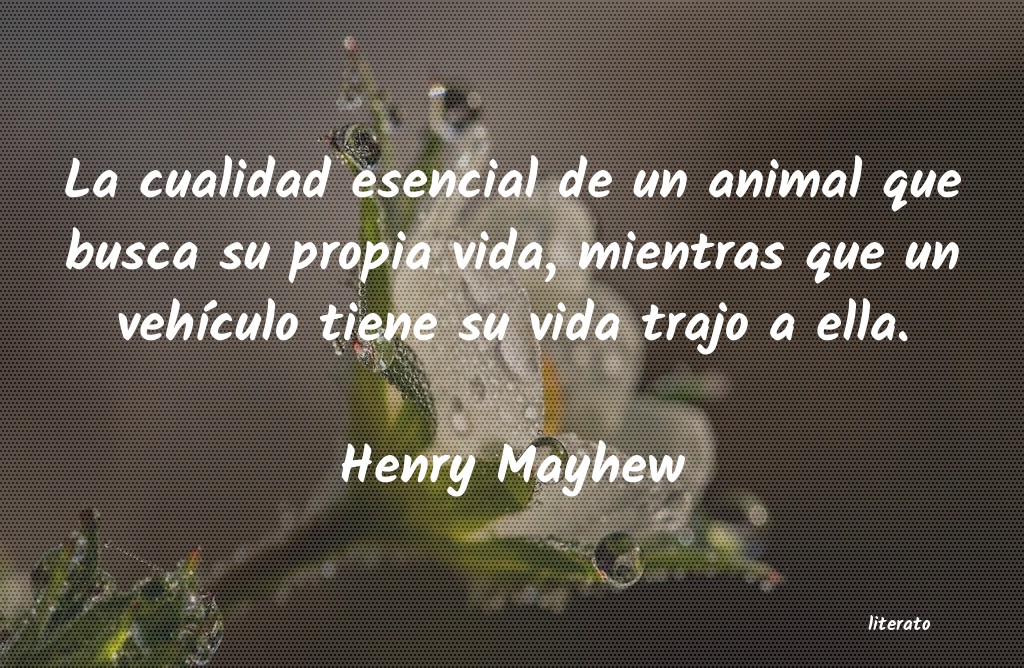 frases de Henry Mayhew