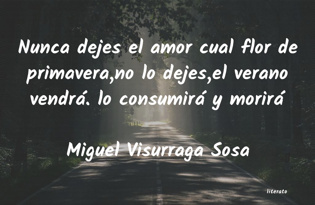 Frases de Miguel Visurraga Sosa