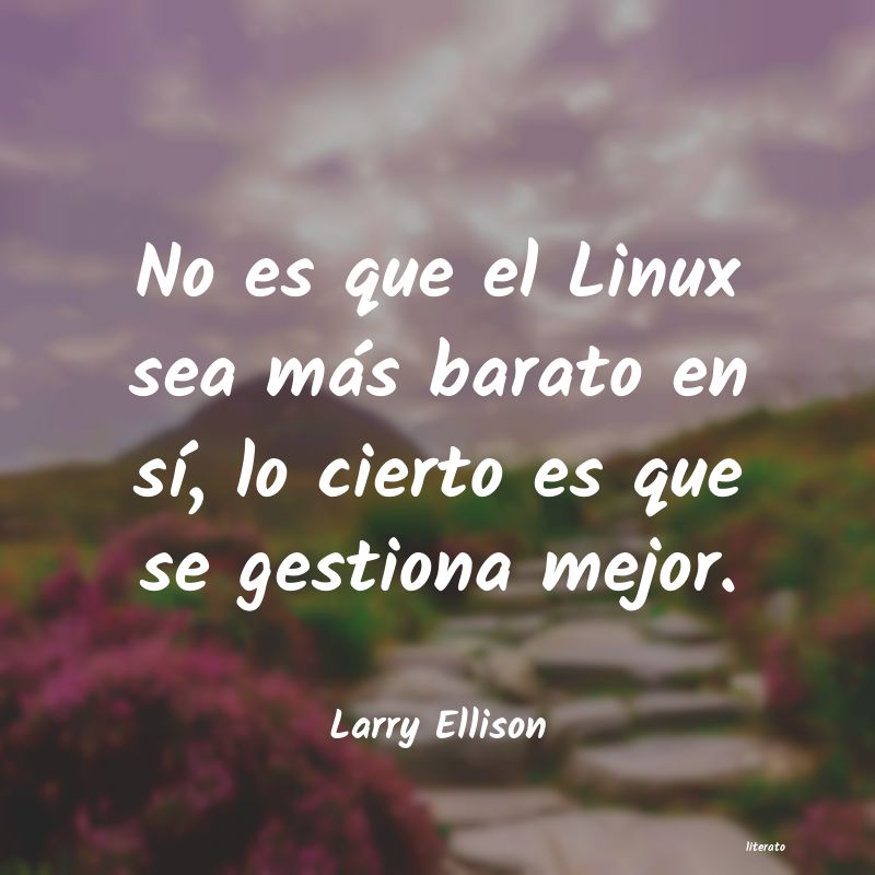 Frases de Larry Ellison