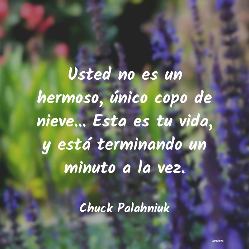 frases de Chuck Palahniuk