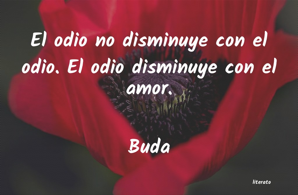 Frases de Buda