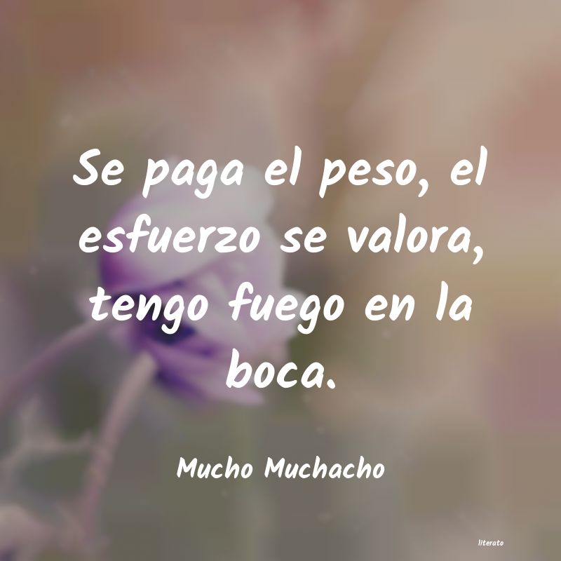 frases de Mucho Muchacho