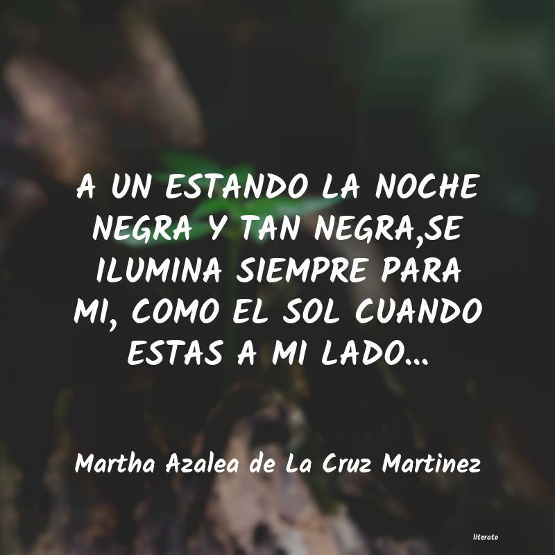 Frases de Martha Azalea de La Cruz Martinez