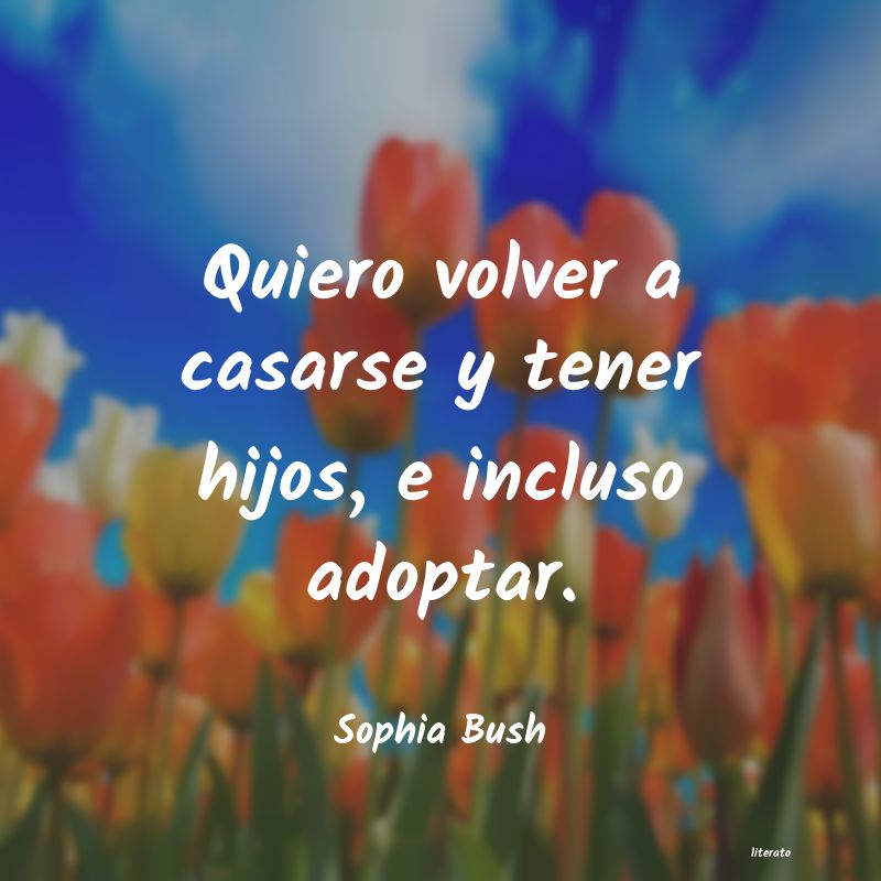 Frases de Sophia Bush