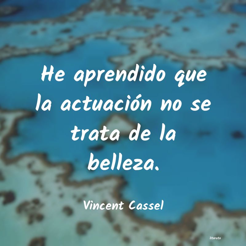 Frases de Vincent Cassel