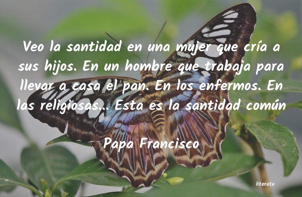 frases de Papa Francisco