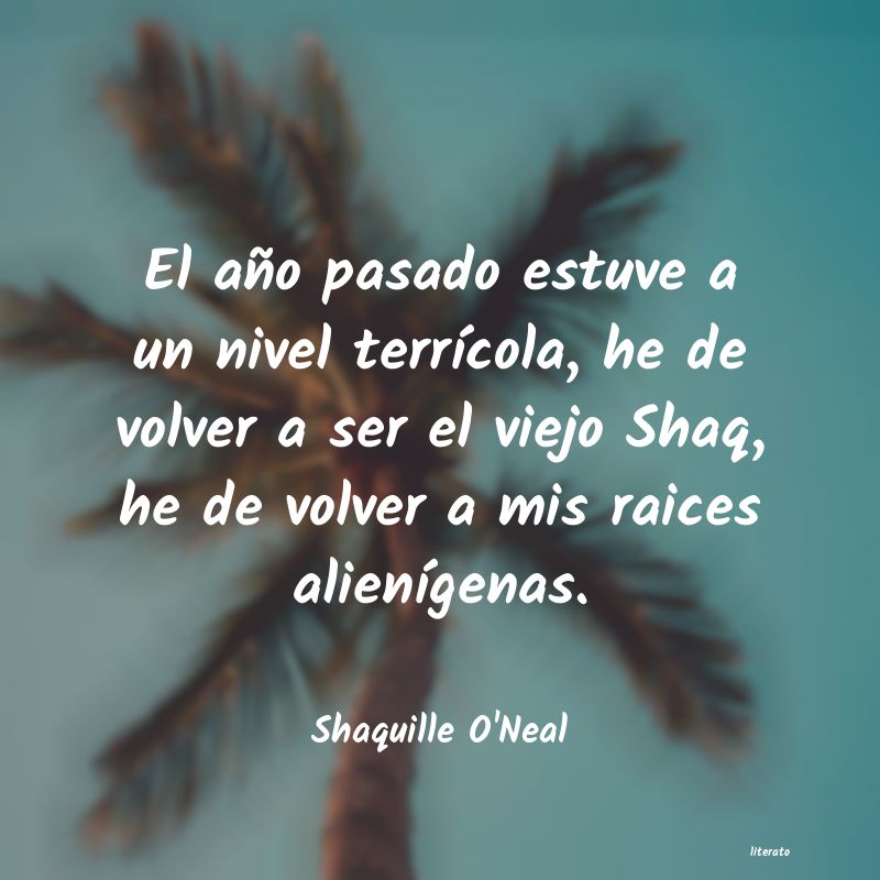 Frases de Shaquille O'Neal