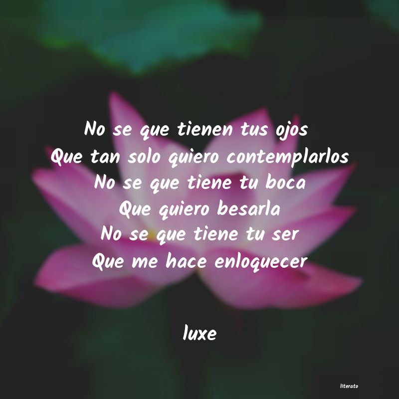 frases de luxe